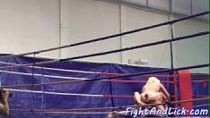 Reproducir Bebés de lucha libre con grandes tetas derrotan a gatitos