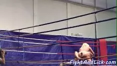 Reproducir Bebés de lucha libre con grandes tetas derrotan a gatitos