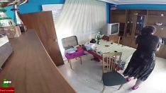 Reproducir La doctora sube números para practicar a esta gatita de la casa gui037