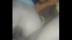 Oynat Lupocket ekmeği
