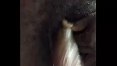 播放 我是实数不寻常的小猫喂食
