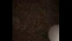 Afspelen 4 uur sleeën voor een kortsluitingswandeling met mijn pups