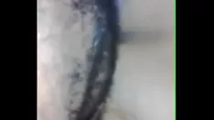 Reproduzir 18 anos de idade, juventude, árvore de ébano, faculdade, adolescente, tantaliza, bbc, em, invert cowmissy