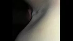 播放 躺下美白小猫