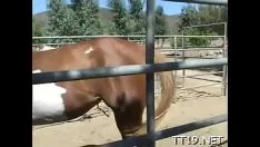Play Precious majority adolescent suck ins a fat eyed teras and give ins a hot frontsession