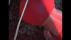 চালান Groomed কিটি স্তন্যপান বাস্তব চমত্কার