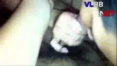 চালান সমৃদ্ধি