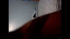 تشغيل بوستماركي (2)