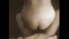 Redare Cogenus lota