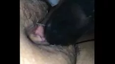 Putar Hasil anak laki-laki kulit hitam saya tersebar