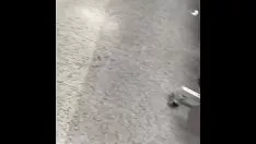 চালান ইথিওপিয়ান সুন্দর নোংরা টাকা