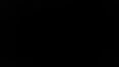 চালান এবং কিটি-বিড়ালকে চাবো